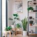 plants in pots arranged on wooden stands near an apartment window with a black metal ladder shelf