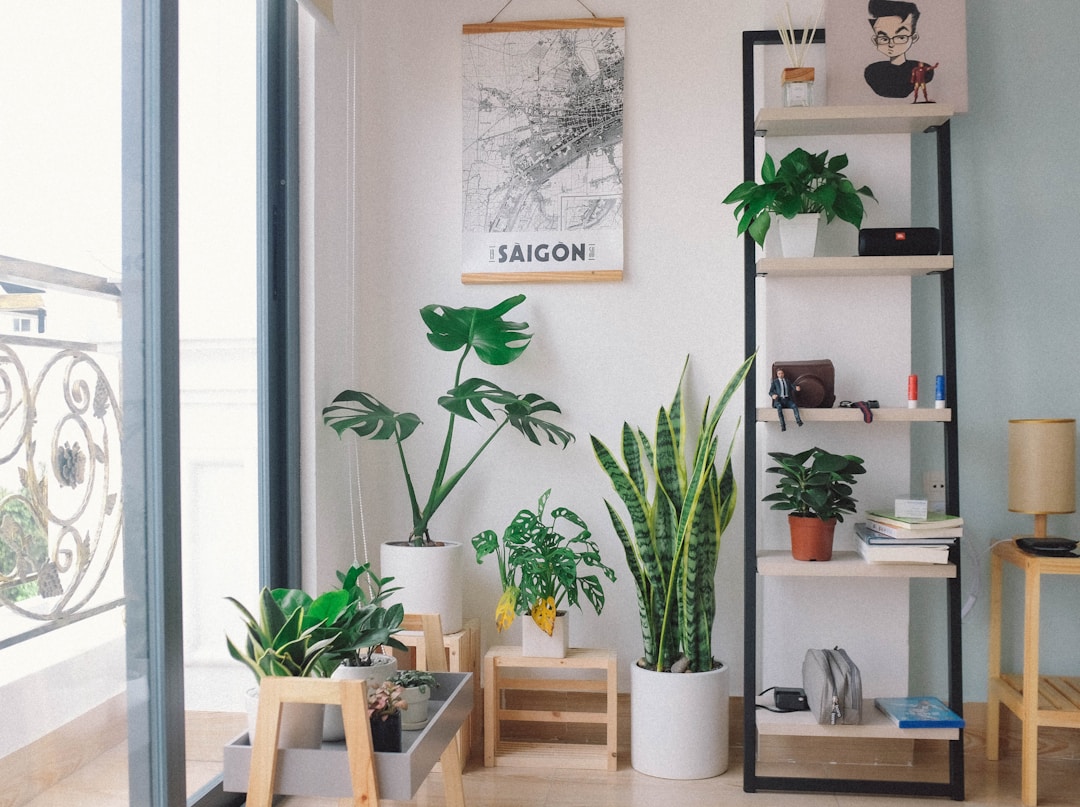 plants in pots arranged on wooden stands near an apartment window with a black metal ladder shelf