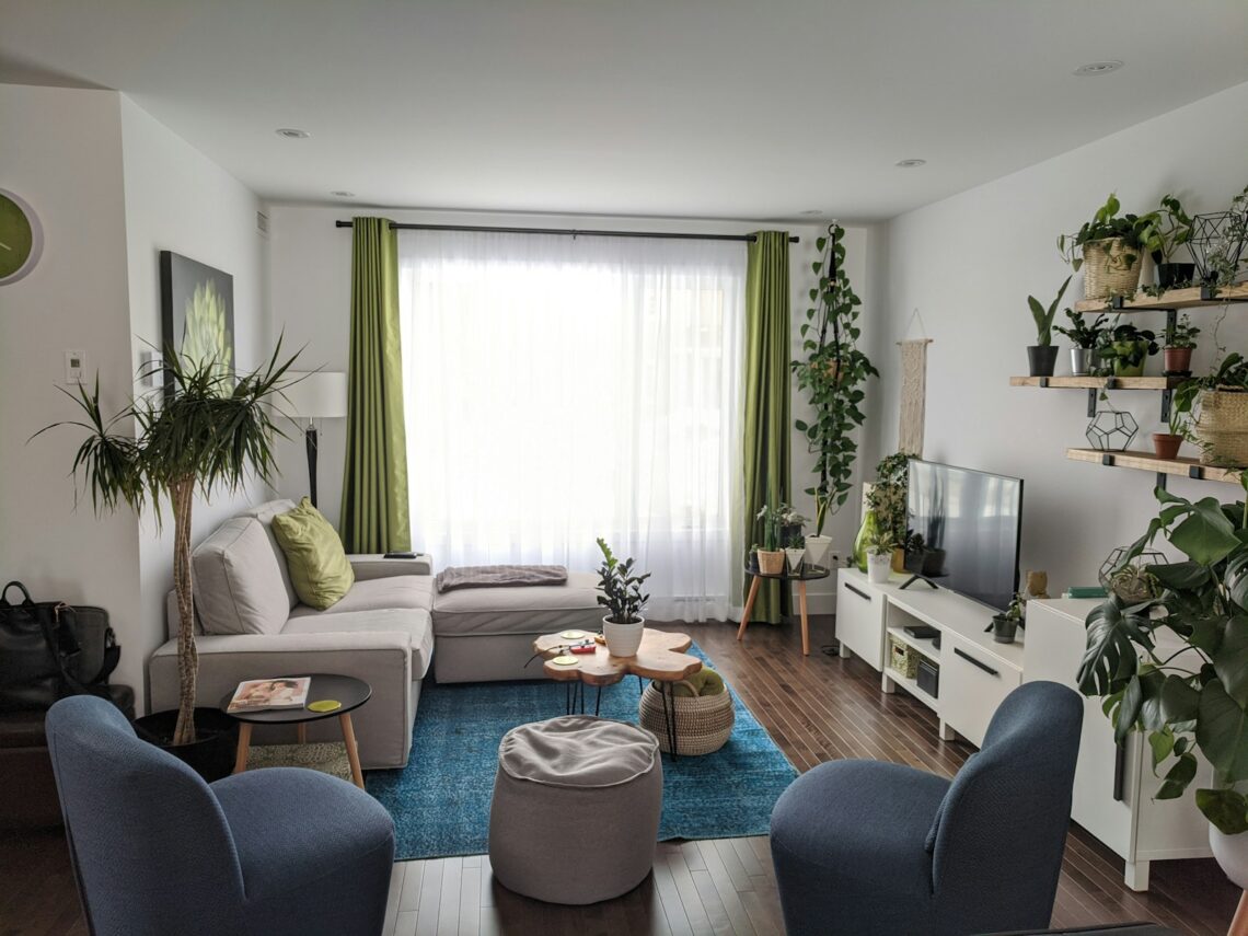 Bright plant-filled apartment living room after weekend makeover