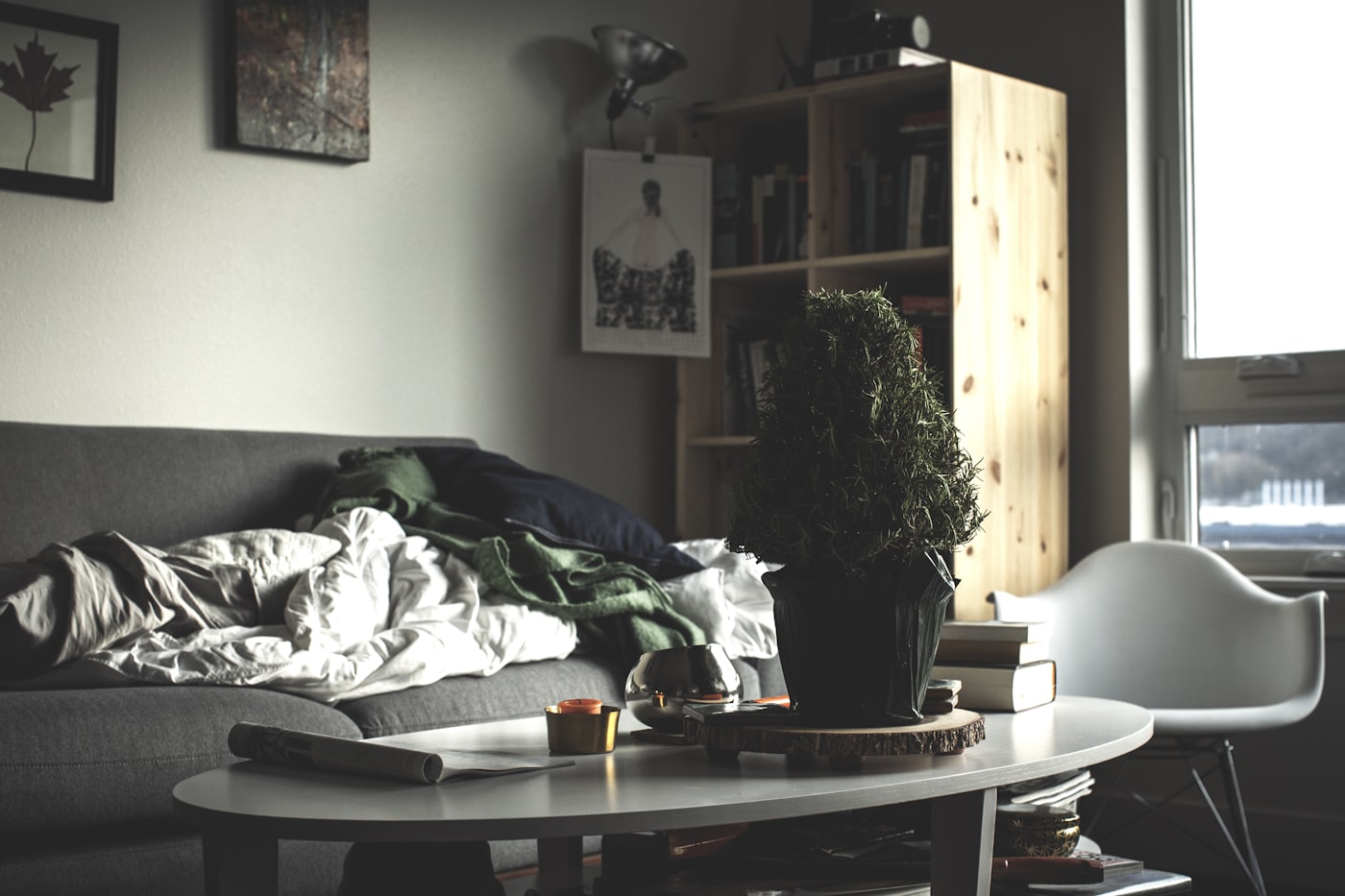 Lived-in small NYC apartment living room with sofa bedding bookshelf and a plant on the coffee table