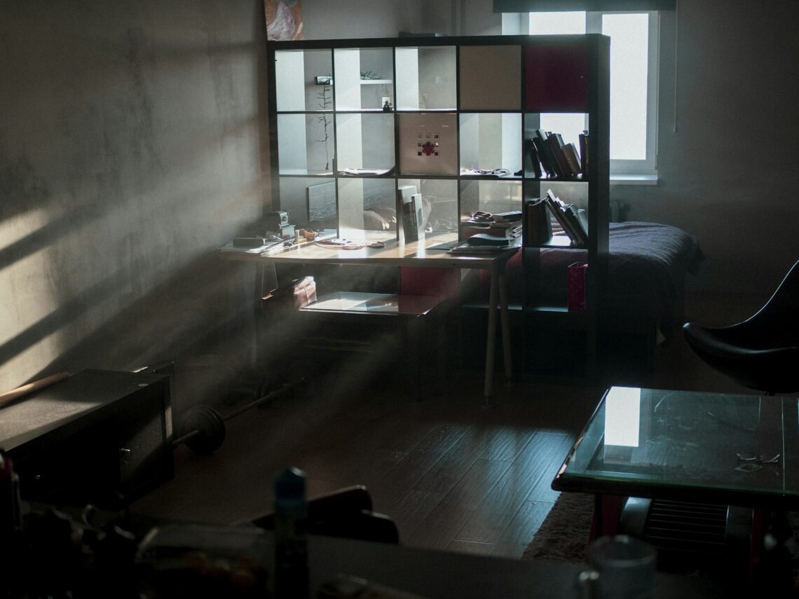cube shelf used as room divider in a small studio apartment separating desk area from sleeping area with sunlight rays