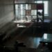 cube shelf used as room divider in a small studio apartment separating desk area from sleeping area with sunlight rays