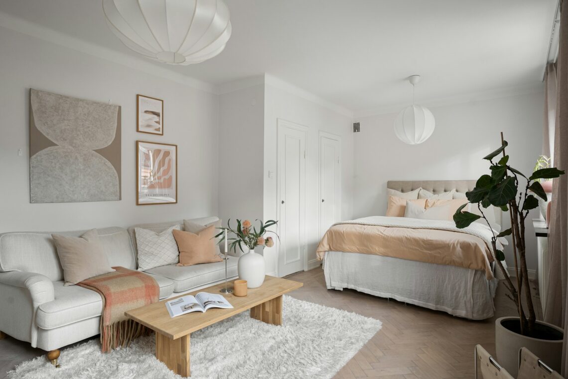 Cozy 400 square foot studio apartment for a couple with sofa and bed sharing one open room