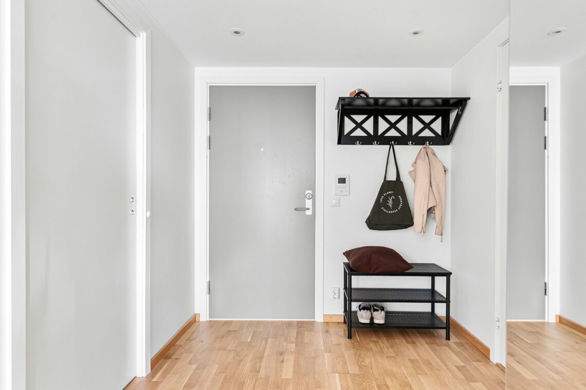 Scandinavian small apartment entryway with wall-mounted shelf and hooks above door height