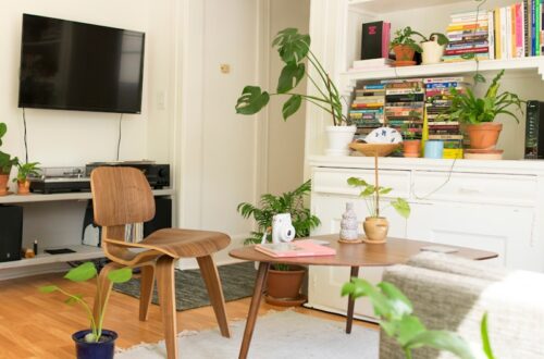 cozy apartment living room with monstera plants bookshelves and mid-century chair