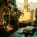 Moody apartment living room with warm golden light, guitars leaning against wall, stacked books and lush plants in a cozy renter space