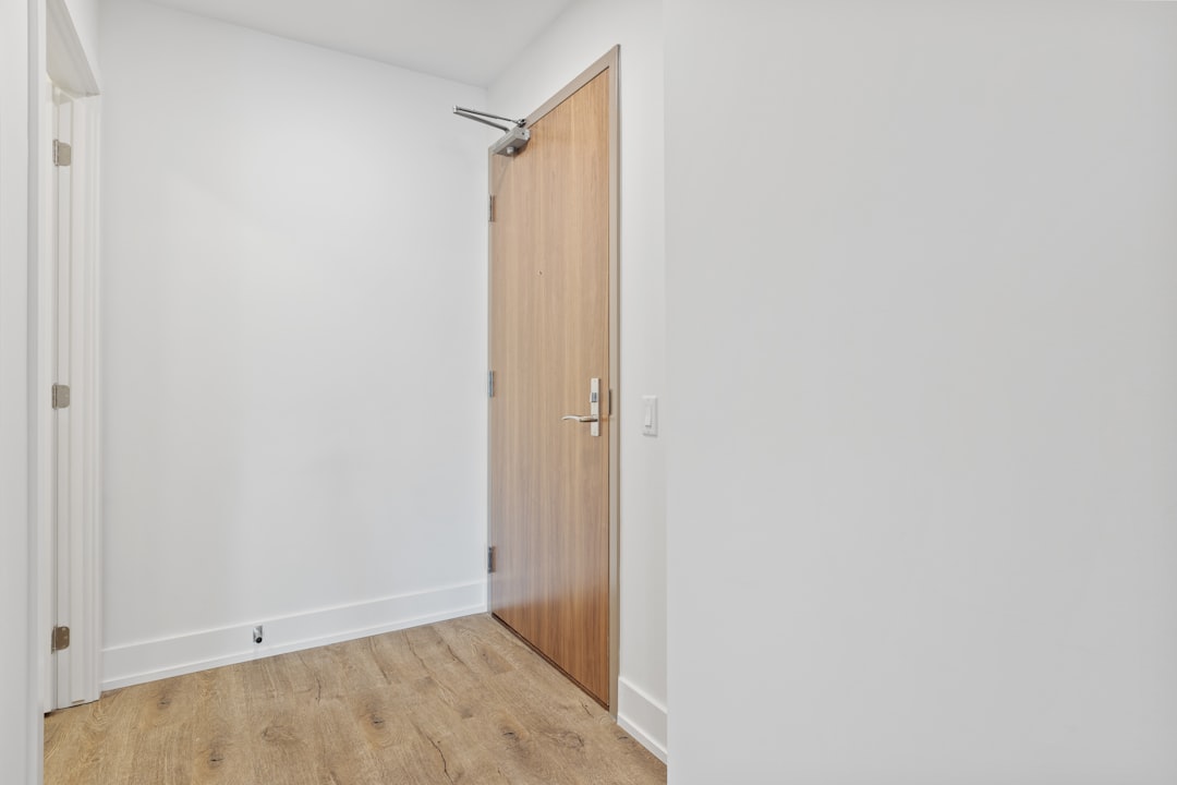 Bare minimal apartment front door area with white walls and light wood floor