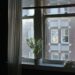 Apartment window with potted plant on sill and brick building visible outside, sheer curtains on one side