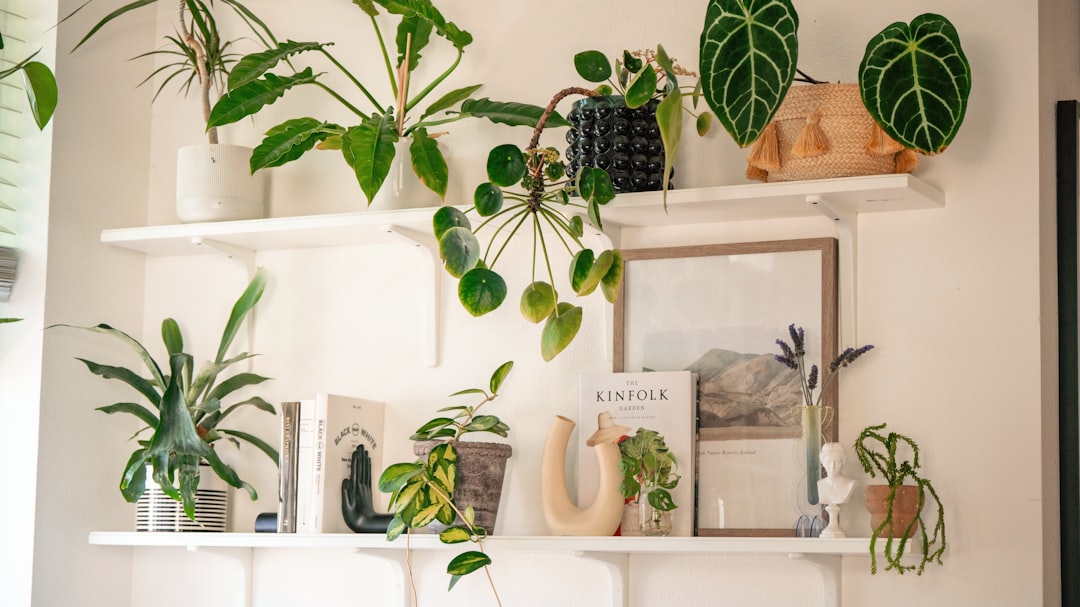 Two white floating shelves covered with a variety of potted plants, coffee table books, and small decorative objects