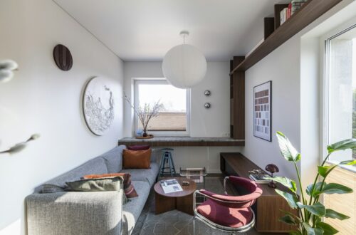 Cozy small apartment living room with sofa, shelving, pendant lamp and plants
