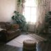 Cozy small apartment living room with vintage leather sofa, hanging plants, macrame wall decor, and wicker pouf