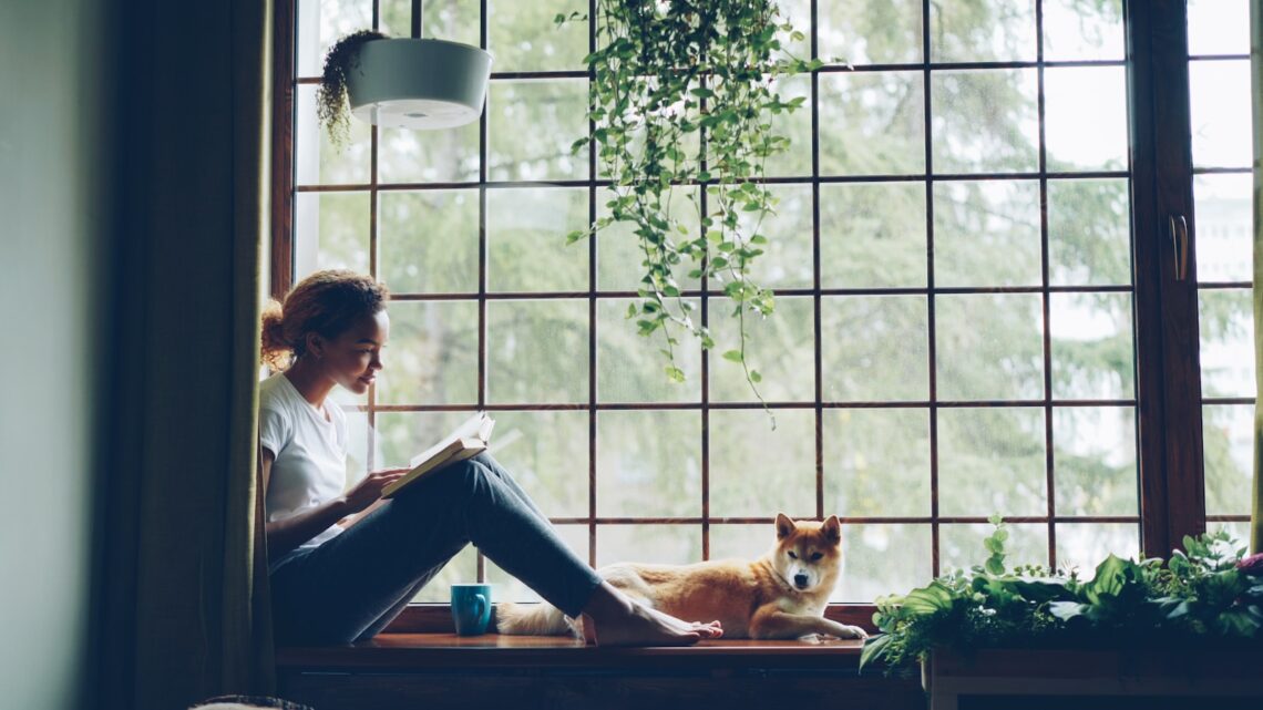Woman reading a book on a window seat next to her dog, surrounded by hanging plants and natural light
