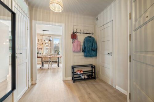 Bright Scandinavian apartment entryway with black 2-tier shoe rack, sneakers, and wall-mounted coat hooks with colorful jacket