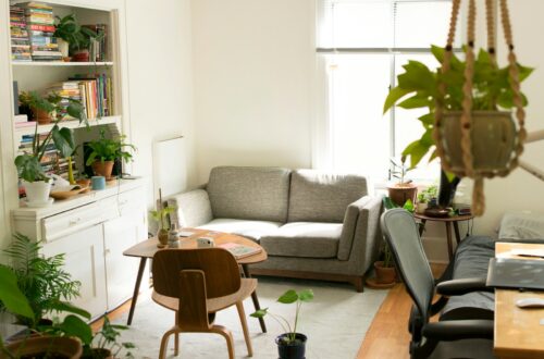 Cozy studio apartment living room with sofa, hanging plants, and a filled bookshelf near a bright window